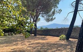 La Selva